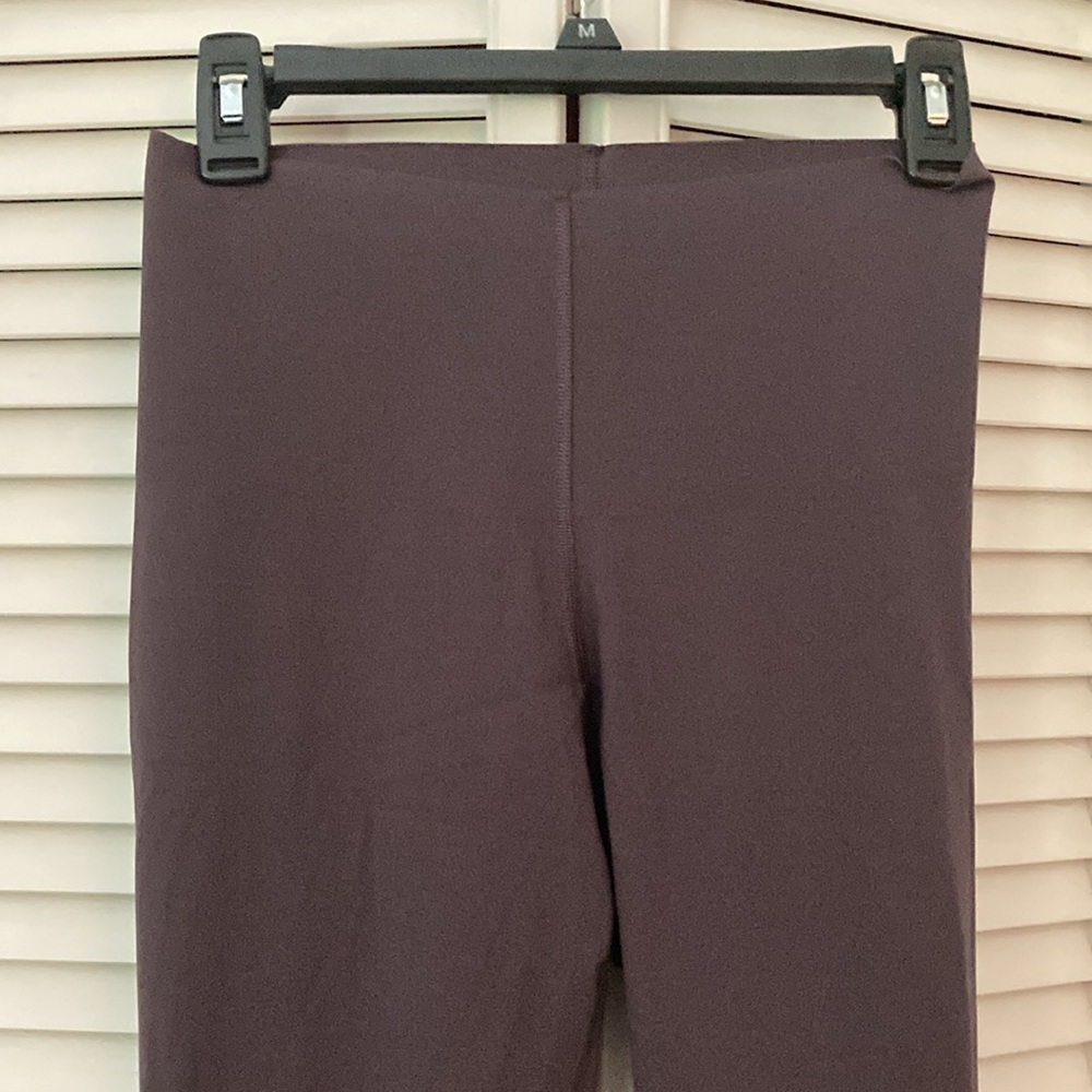 Everlane Perform Legging